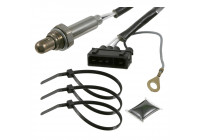 Sonde lambda