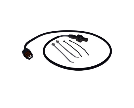 Sonde lambda