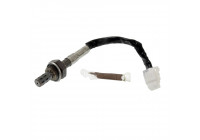 Sonde lambda