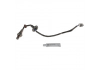 Sonde lambda