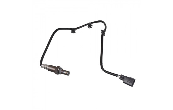 Sonde lambda