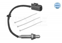 Sonde lambda