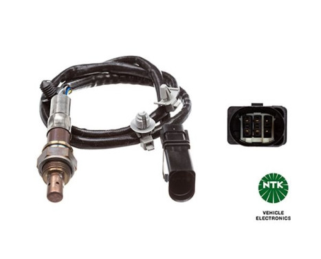 Sonde lambda