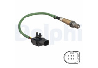 Sonde lambda