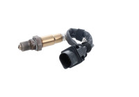 Sonde lambda