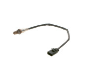 Sonde lambda