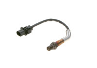 Sonde lambda