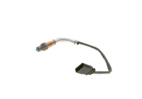 Sonde lambda