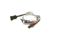 Sonde lambda
