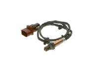 Sonde lambda