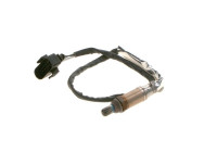 Sonde lambda