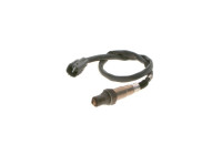Sonde lambda