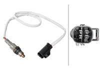 Sonde lambda