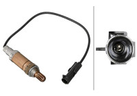 Sonde lambda