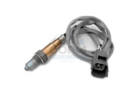 Sonde lambda