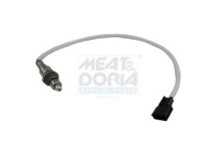 Sonde lambda