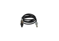 Sonde lambda