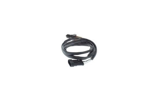 Sonde lambda, Image 6