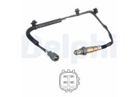 sonde lambda