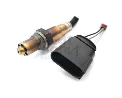 sonde lambda