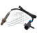 sonde lambda