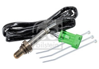 sonde lambda