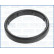 Bague d'étanchéité, turbocompresseur, Vignette 2