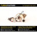 Turbocompresseur, suralimentation BOX Turbo's Hoet, Vignette 3
