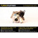 Turbocompresseur, suralimentation, Vignette 3