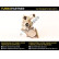 Turbocompresseur, suralimentation BOX Turbo's Hoet, Vignette 3