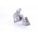 Turbocompresseur, suralimentation, Vignette 5