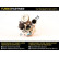 Turbocompresseur, suralimentation, Vignette 4