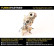 Turbocompresseur, suralimentation, Vignette 4