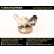 Turbocompresseur, suralimentation, Vignette 4