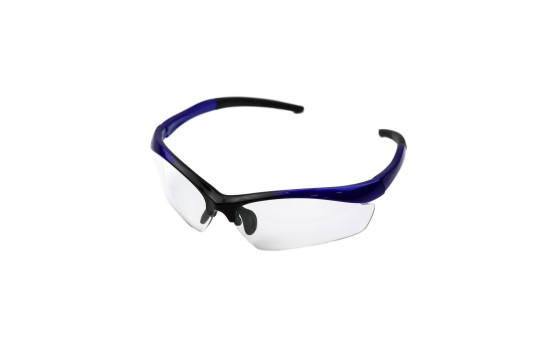 Gafas de seguridad Profi
