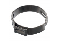 Anillo de abrazadera
