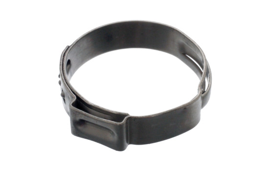 Anillo de abrazadera