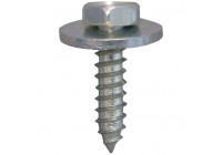 Perno de placa hexagonal 4,8x19mm - 5 piezas