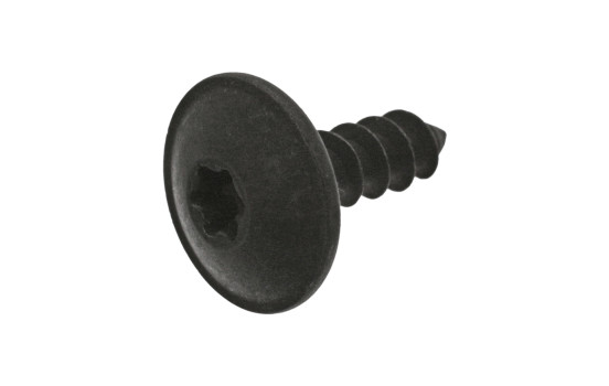 Tornillo 25 piezas
