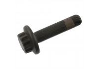 Tornillo