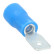 Tapón plano Carpoint 743 azul 4,8 x 0,5 mm (10 unidades)