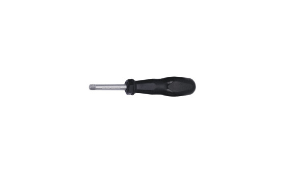 Destornillador de punta de fuerza de 6 mm x 100 mm
