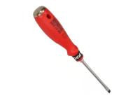 Destornillador de punta plana Rooks, SL5,5 x 100 mm