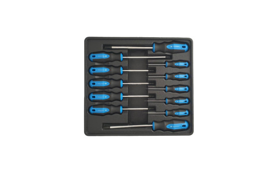 Destornilladores Torx