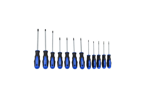 Destornilladores Torx, Imagen 3