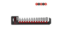 Juego de 12 dados de estrella de 3/8" DR.