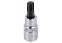 Bitdop 1/2", ribe M10
