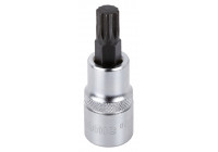 Vaso de punta de 1/2", multidiente M10