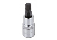Vaso de punta de 1/2", multidiente M12