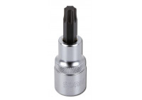 Vaso de punta de 1/2", T25